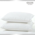 Filled Pillow 19 x 29 Inches (Pack of 2)