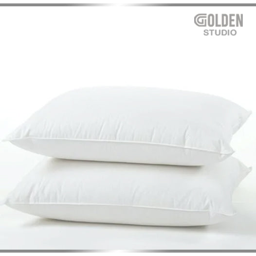 Filled Pillow 19 x 29 Inches (Pack of 2)