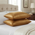 Silk Pillow Covers Pack of 2 Brown